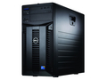 戴尔 PowerEdge T310(i3-550/1G/250G)